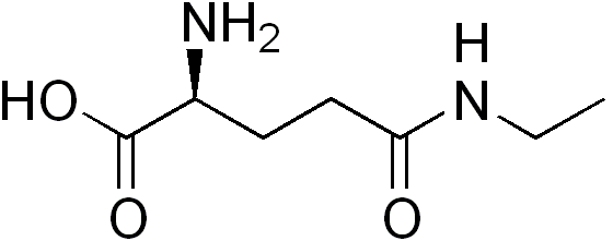 l-theanine and alcohol